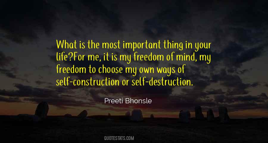 Quotes About Construction And Destruction #1294900