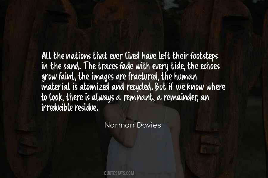 Norman Davies Quotes #1461902