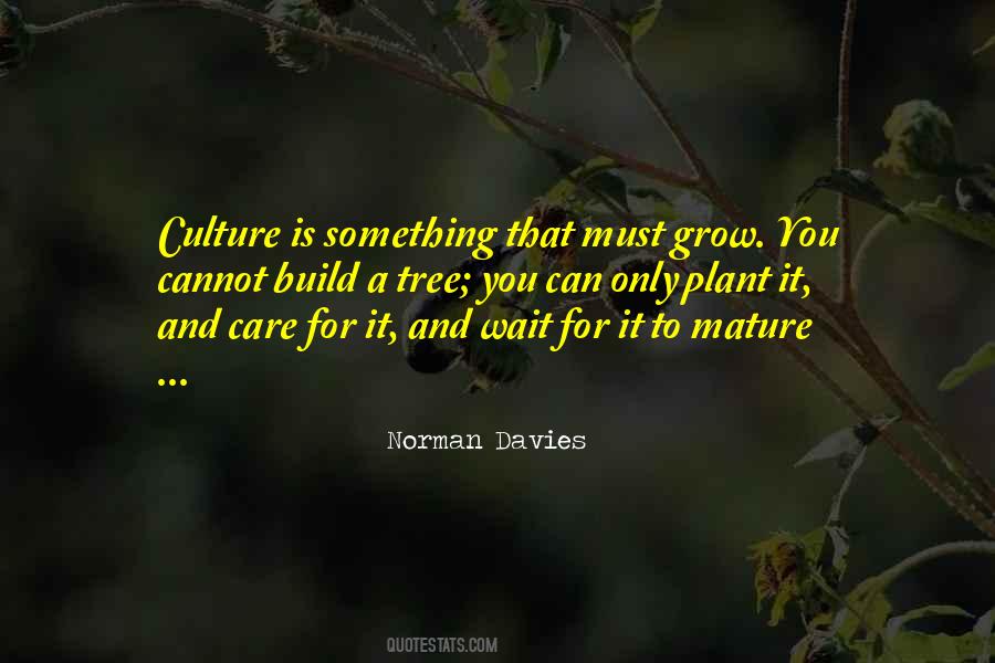 Norman Davies Quotes #1771885