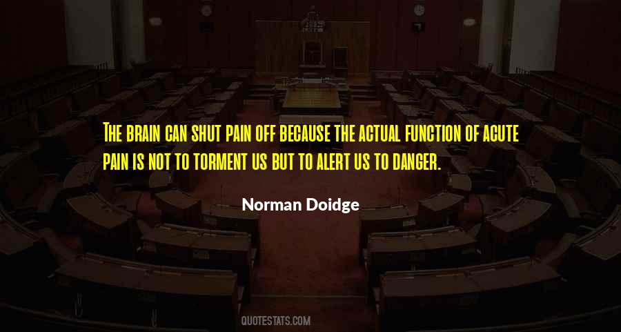 Norman Doidge Quotes #1531680
