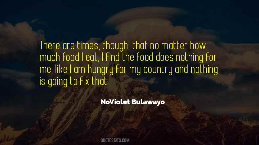 Noviolet Bulawayo Quotes #988370