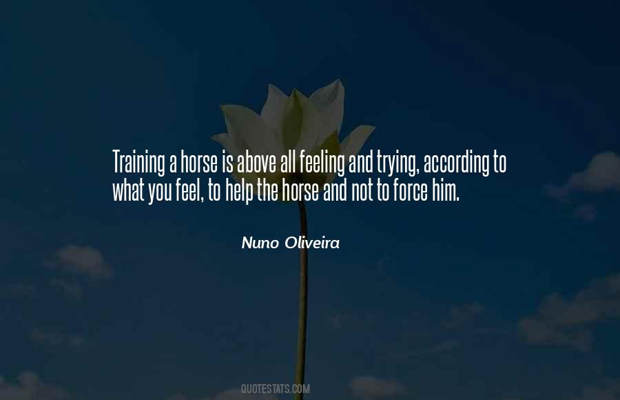 Nuno Oliveira Quotes #1854562