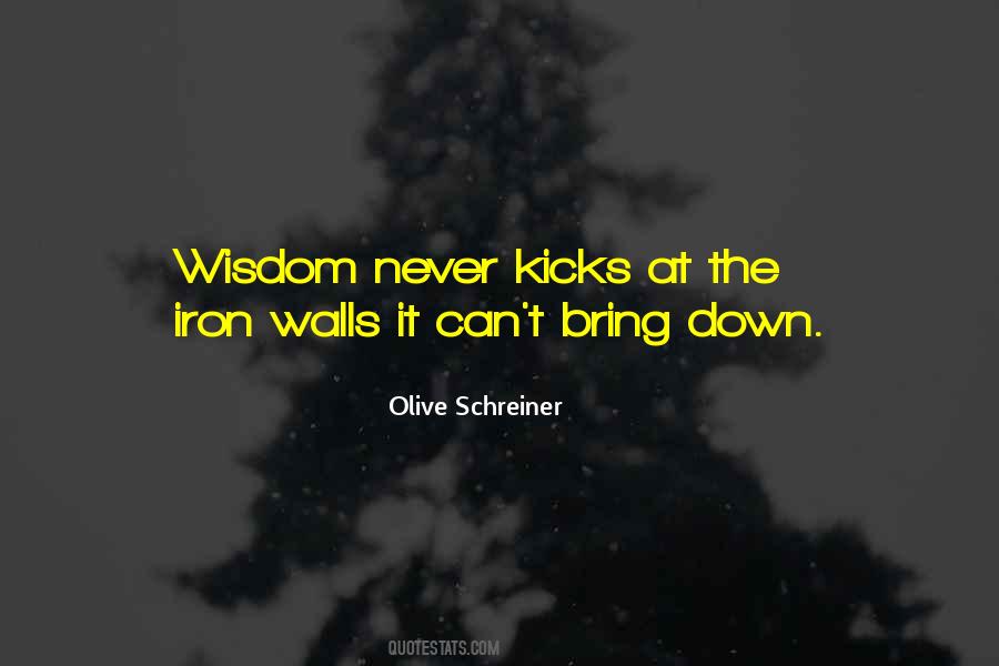 Olive Schreiner Quotes #235359