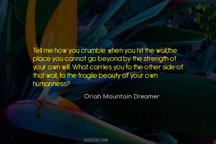 Oriah Mountain Dreamer Quotes #771078