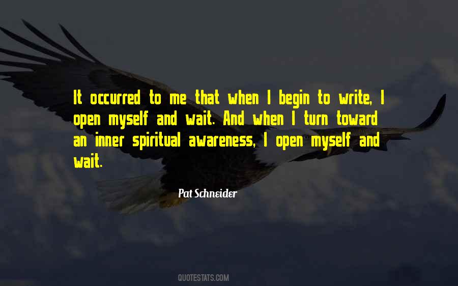 Pat Schneider Quotes #1013536