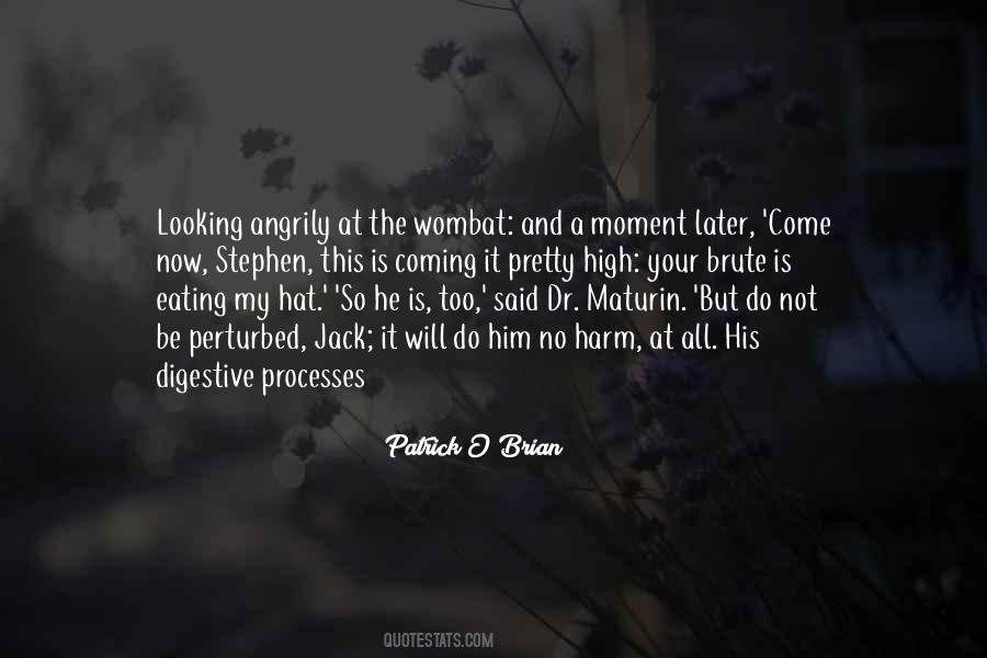 Patrick O'brian Quotes #404530