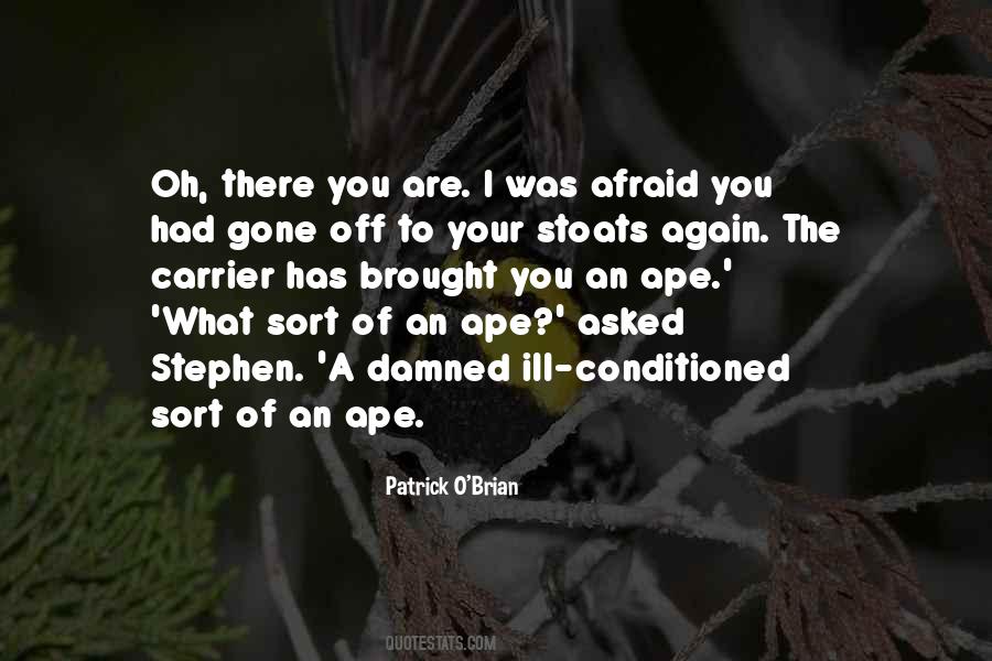 Patrick O'brian Quotes #510414