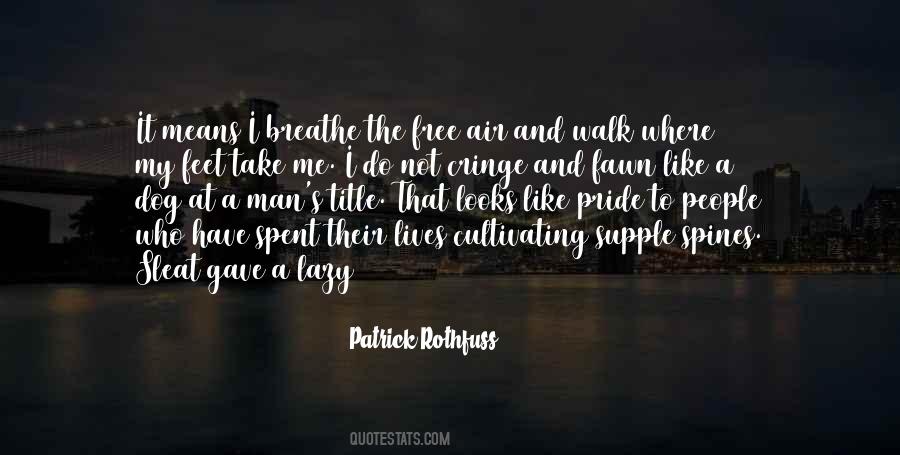 Patrick Rothfuss Quotes #104172