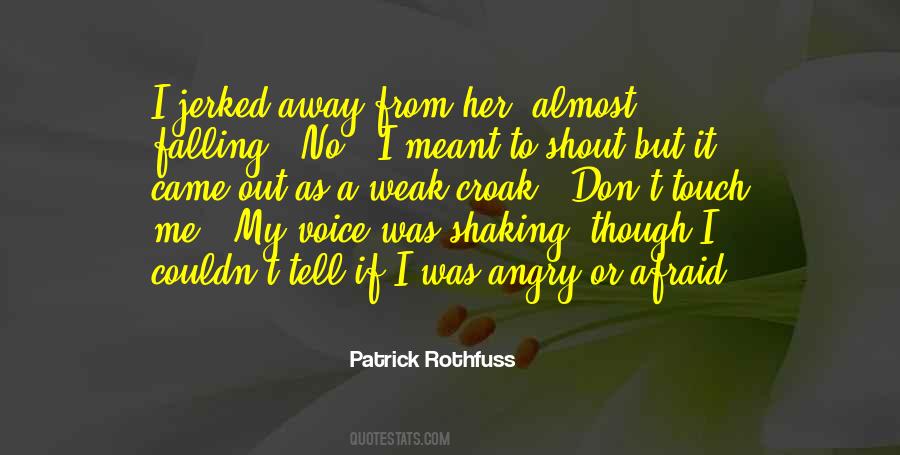 Patrick Rothfuss Quotes #24997