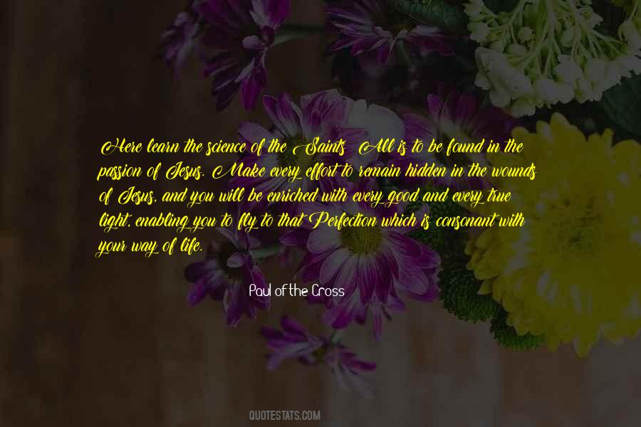 Paul Of The Cross Quotes #165302