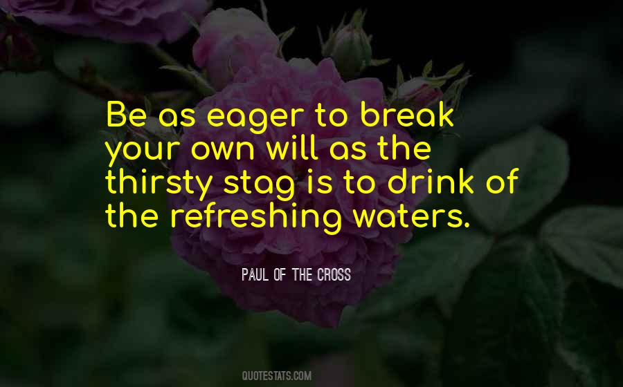 Paul Of The Cross Quotes #204120