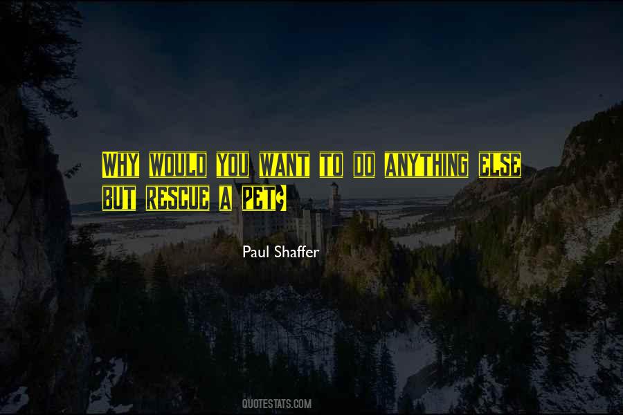 Paul Shaffer Quotes #691555