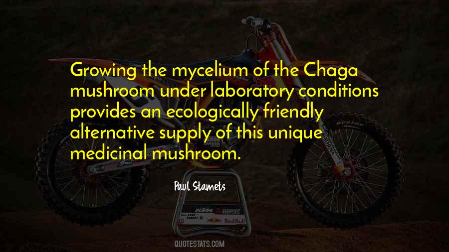 Paul Stamets Quotes #968023