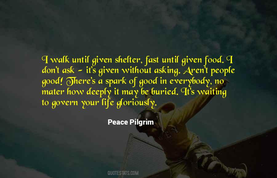 Peace Pilgrim Quotes #244469