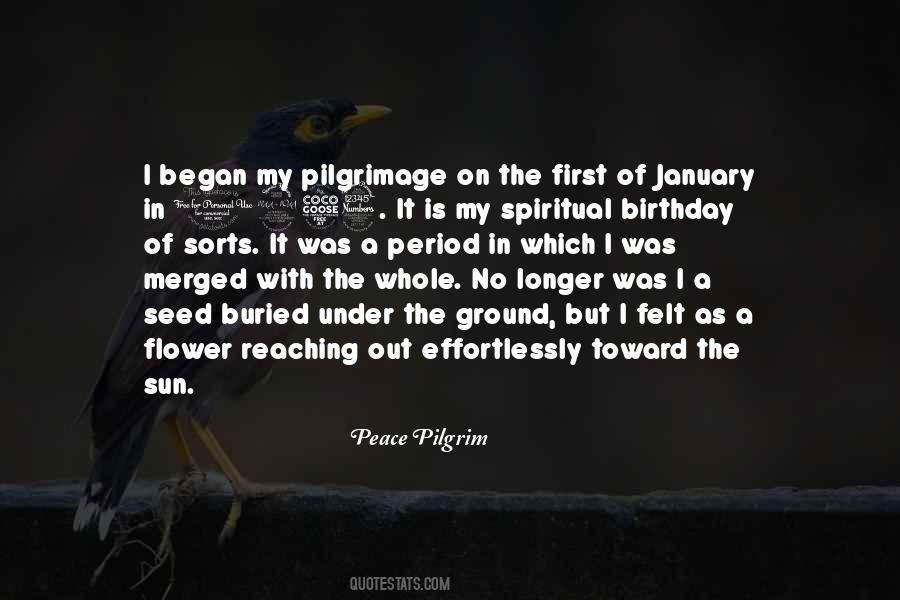 Peace Pilgrim Quotes #281868