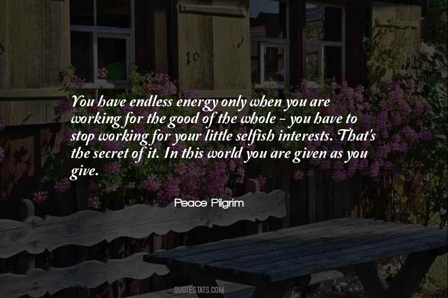 Peace Pilgrim Quotes #577350