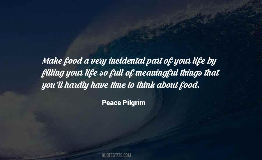 Peace Pilgrim Quotes #591864