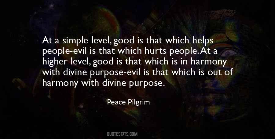 Peace Pilgrim Quotes #691664