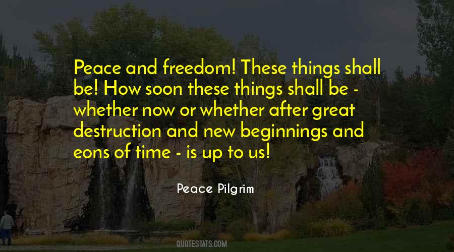 Peace Pilgrim Quotes #806341