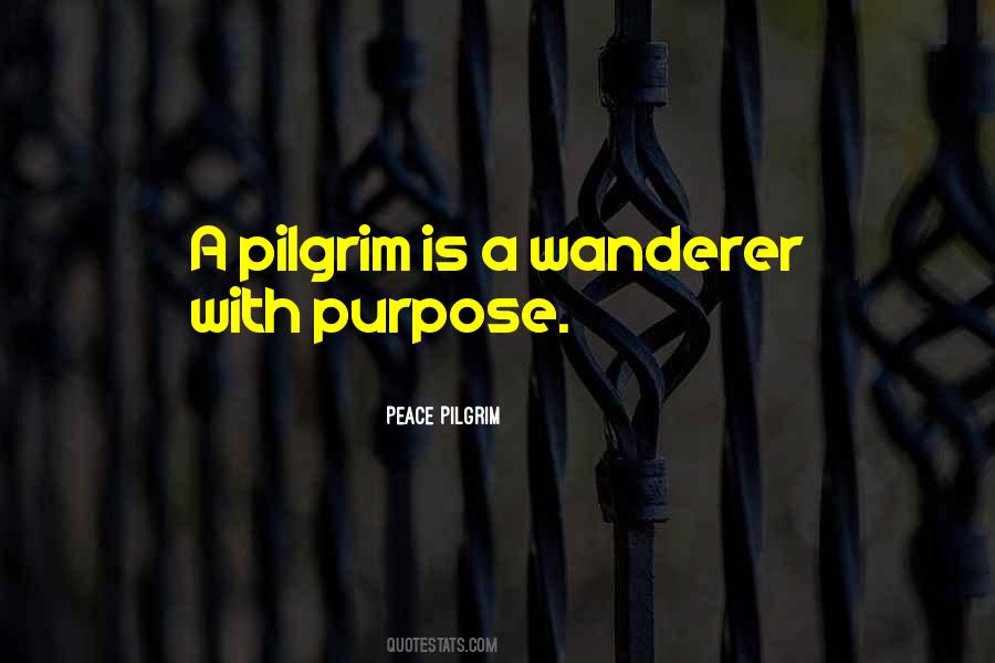 Peace Pilgrim Quotes #900913