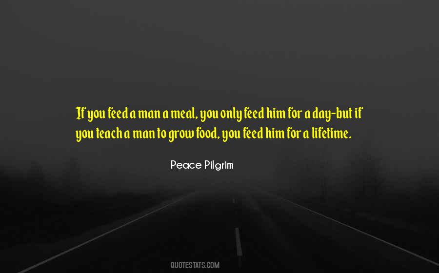 Peace Pilgrim Quotes #901743