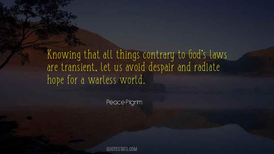 Peace Pilgrim Quotes #991963