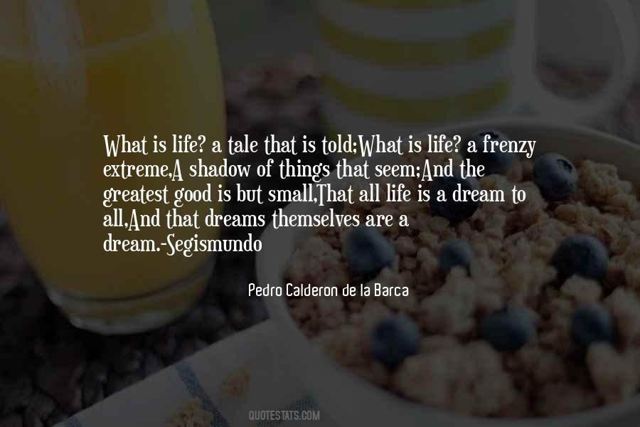 Pedro Calderon De La Barca Quotes #1242116