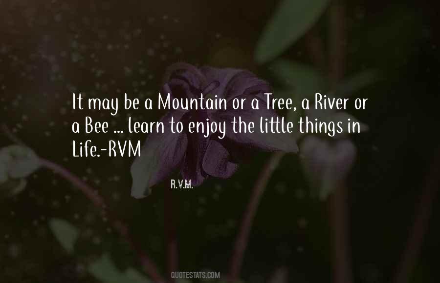 Quotes About Enjoy The Little Things In Life #66555