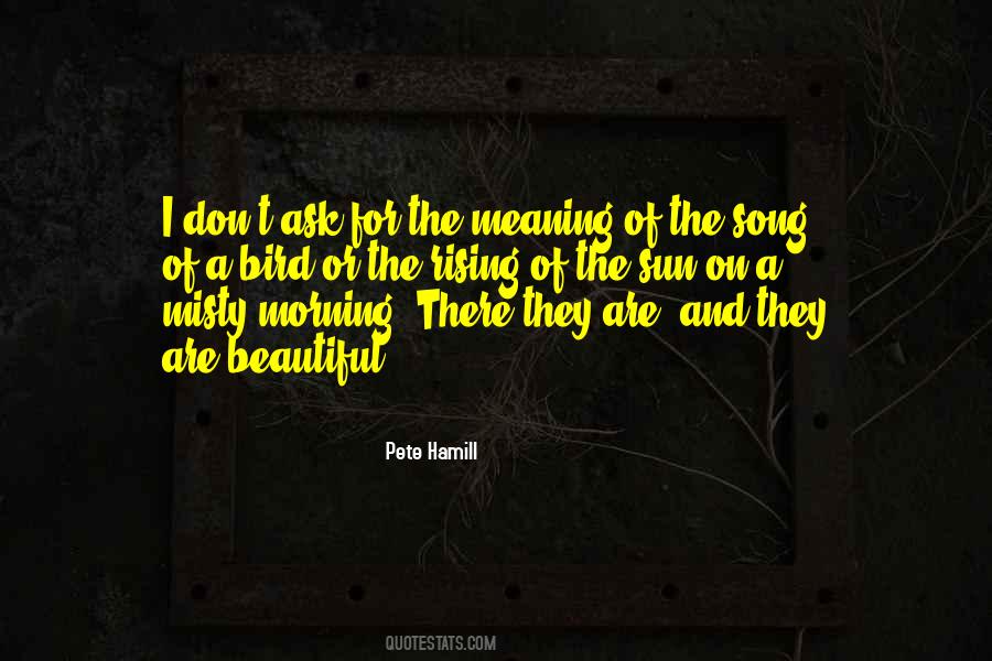 Pete Hamill Quotes #1366810
