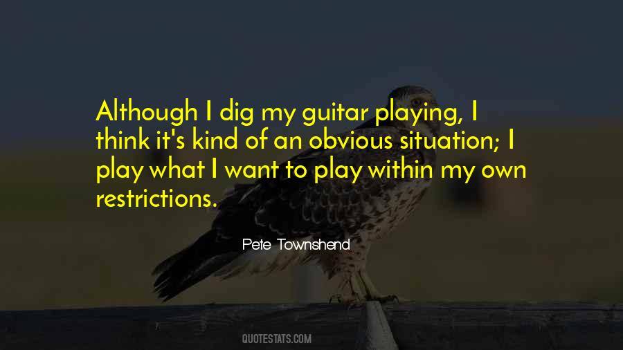 Pete Townshend Quotes #867277