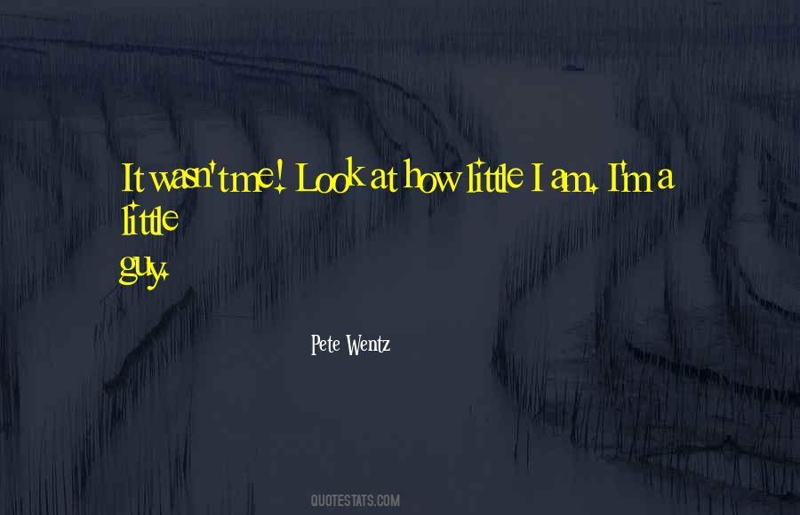 Pete Wentz Quotes #1101753