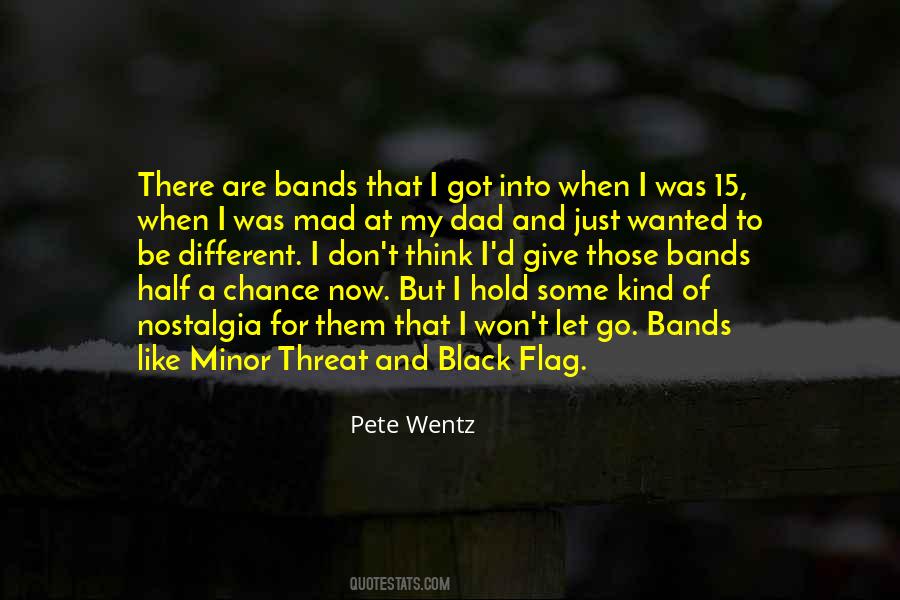 Pete Wentz Quotes #1284439