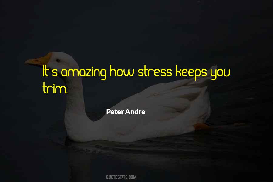 Peter Andre Quotes #1371681