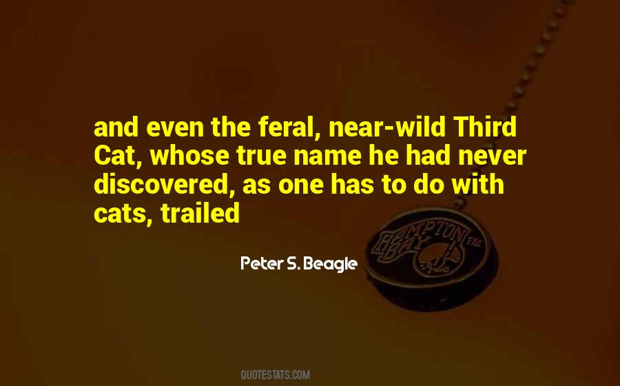 Peter Beagle Quotes #406110