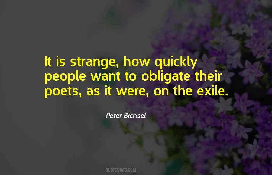 Peter Bichsel Quotes #690527