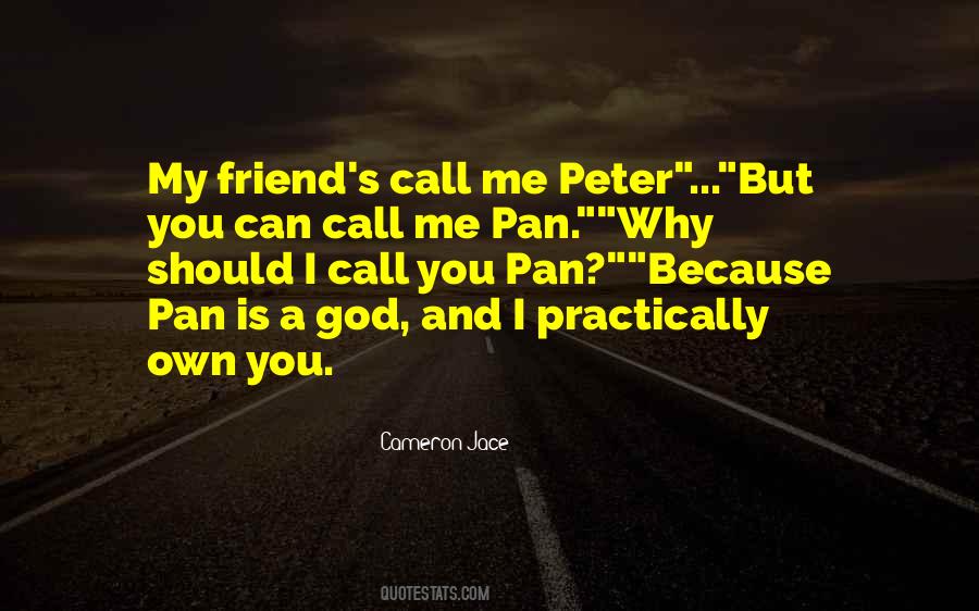 Peter Cameron Quotes #1169262