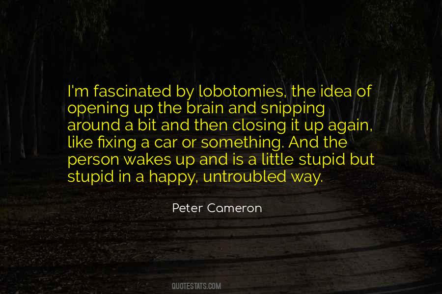 Peter Cameron Quotes #128798