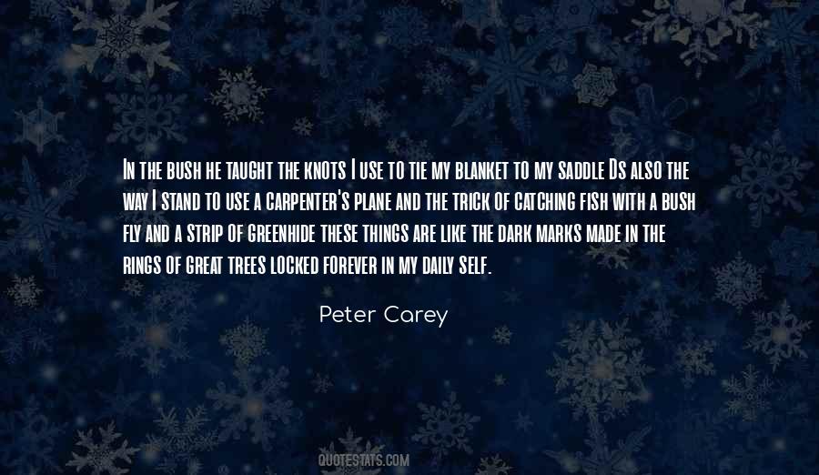 Peter Carey Quotes #884373