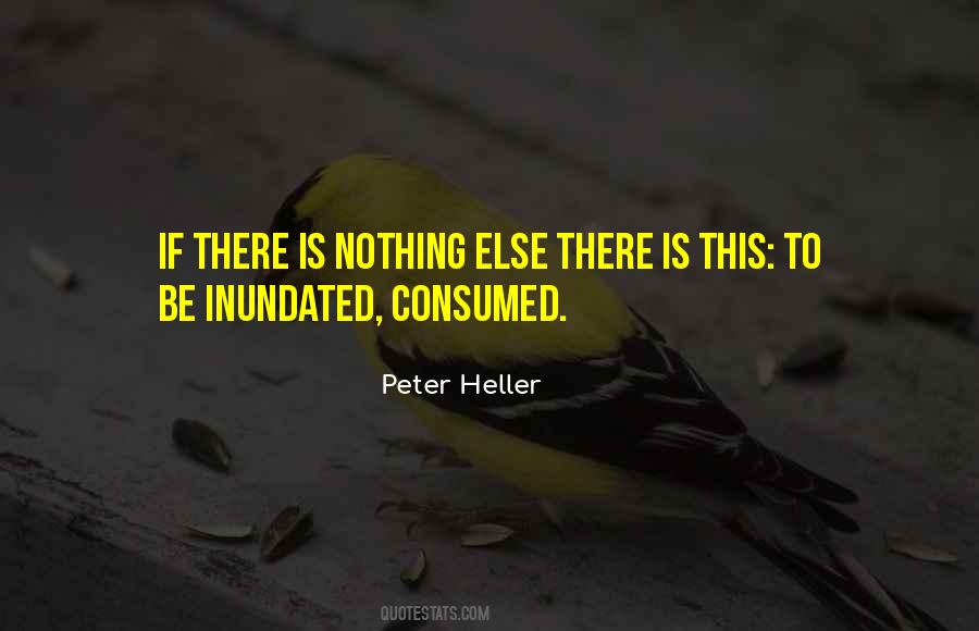 Peter Heller Quotes #150384