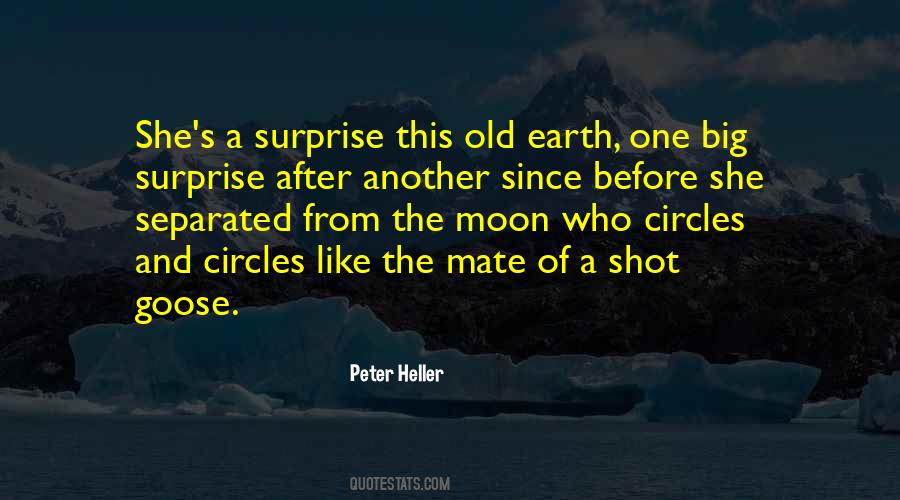 Peter Heller Quotes #193452