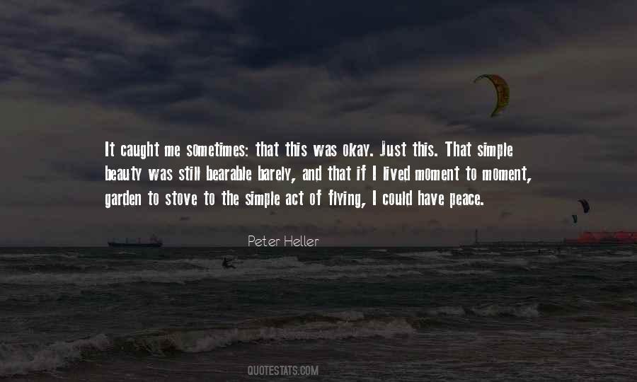 Peter Heller Quotes #628407