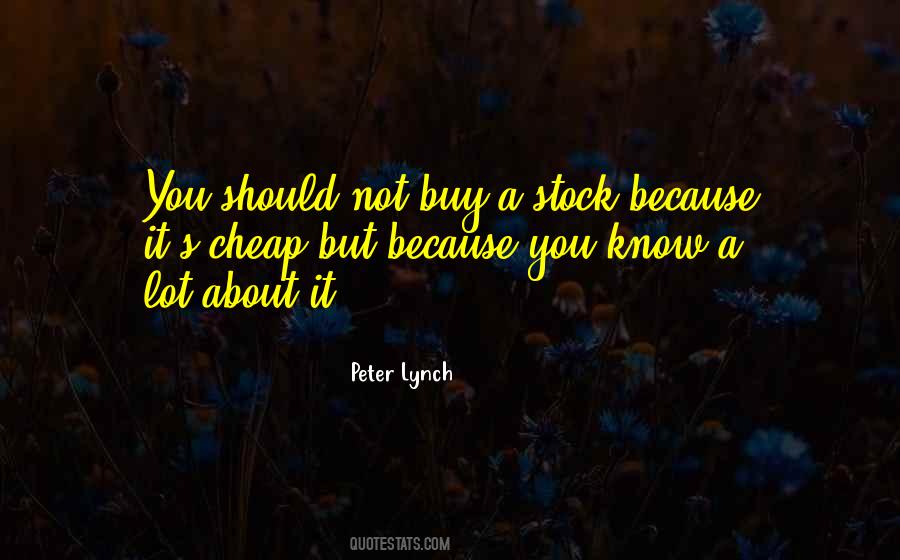 Peter Lynch Quotes #1069502