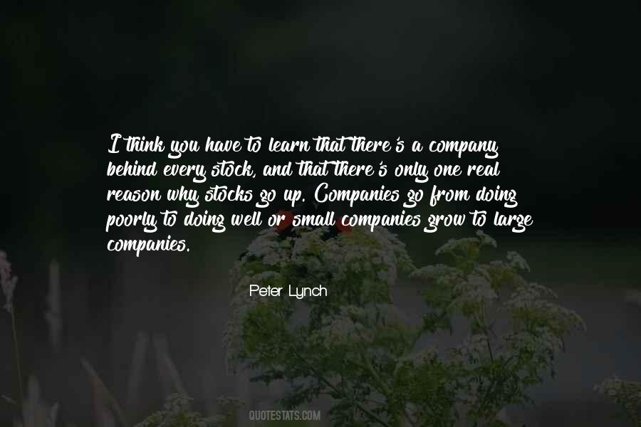 Peter Lynch Quotes #947273