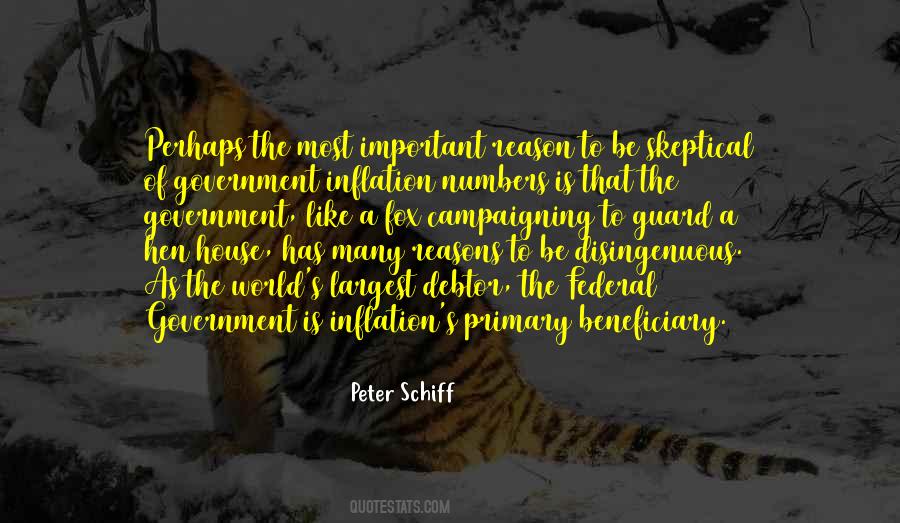 Peter Schiff Quotes #348894