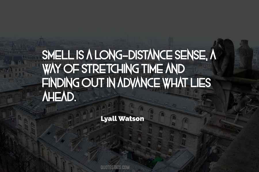 Quotes About Sense Of Smell #577838