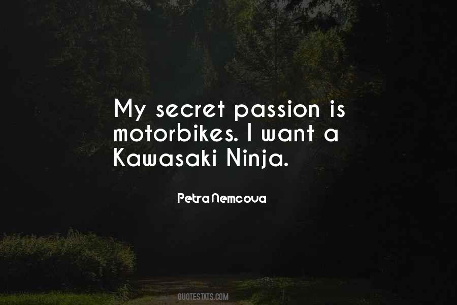 Petra Nemcova Quotes #708041