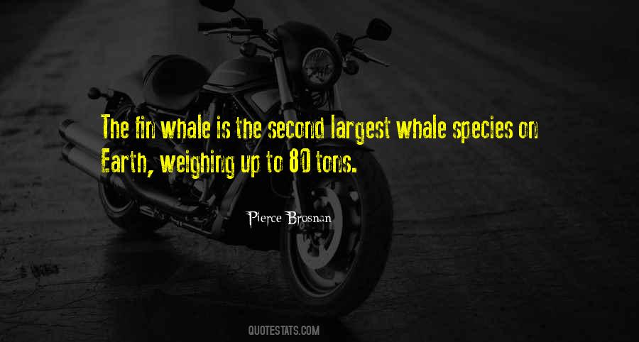 Pierce Brosnan Quotes #577693