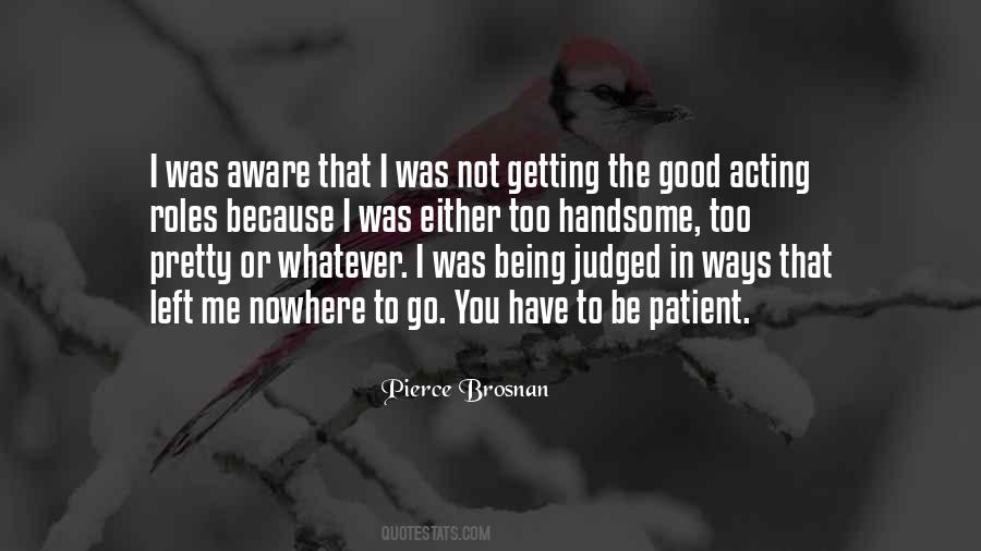 Pierce Brosnan Quotes #906126