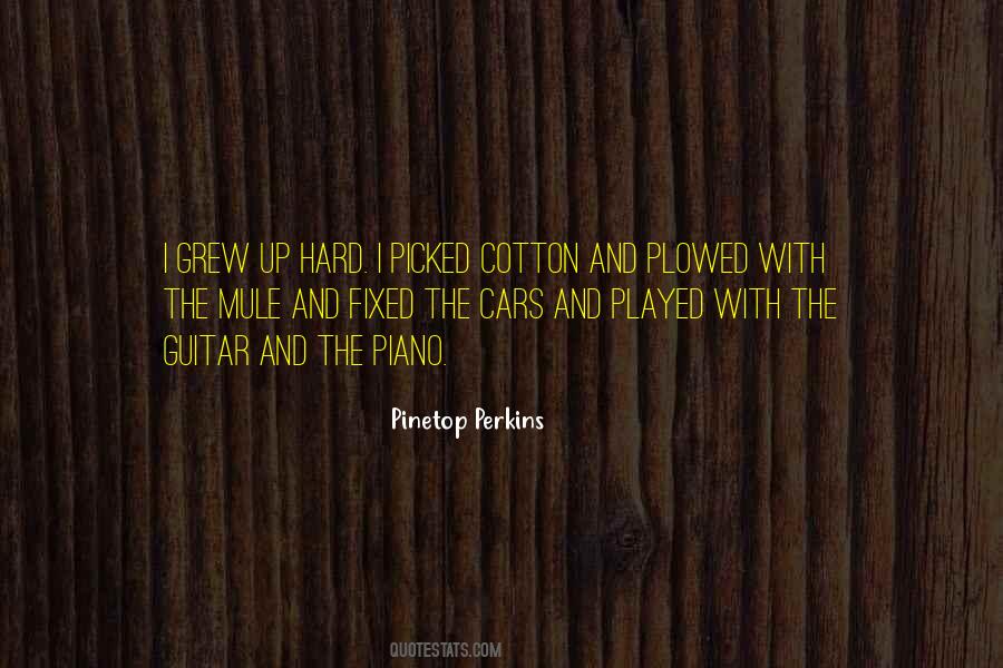 Pinetop Perkins Quotes #1067266