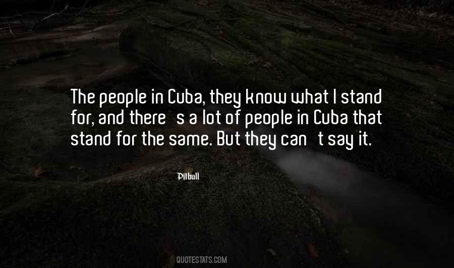 Pitbull Quotes #762354